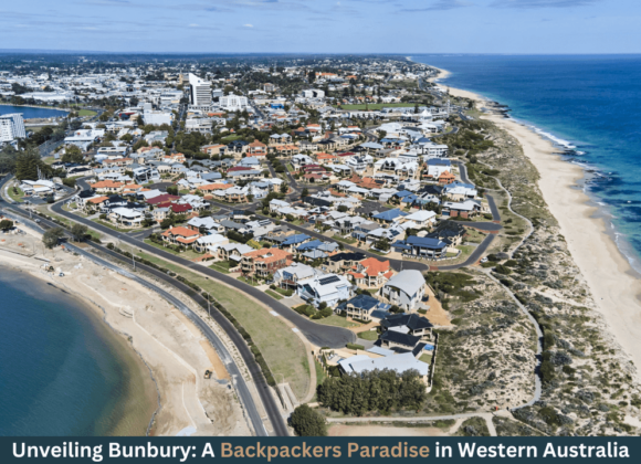 Unveiling Bunbury A Backpackers Paradise in Western Australia - dolphinretreatbunbury.com.au