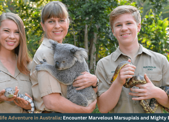 Wildlife Adventure in Australia Encounter Marvelous Marsupials and Mighty Birds