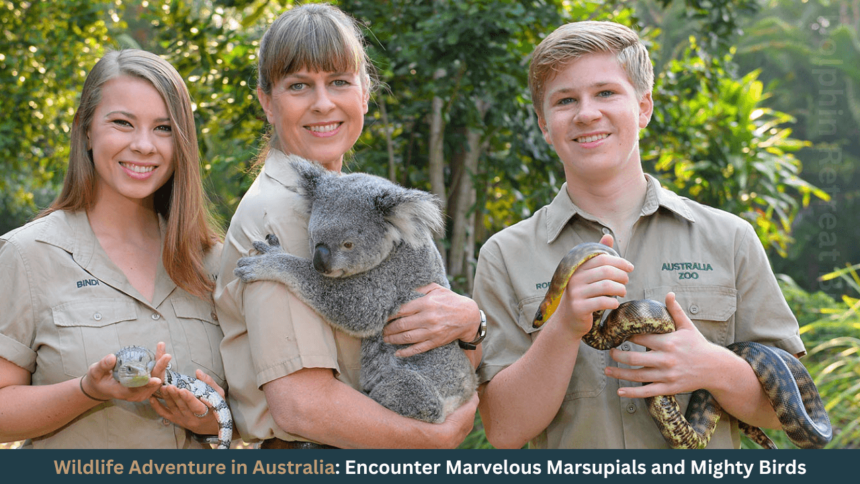 Wildlife Adventure in Australia Encounter Marvelous Marsupials and Mighty Birds